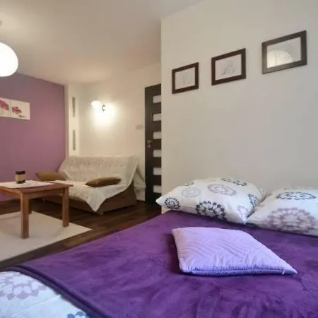 Lawendowe Krynica Zdroj